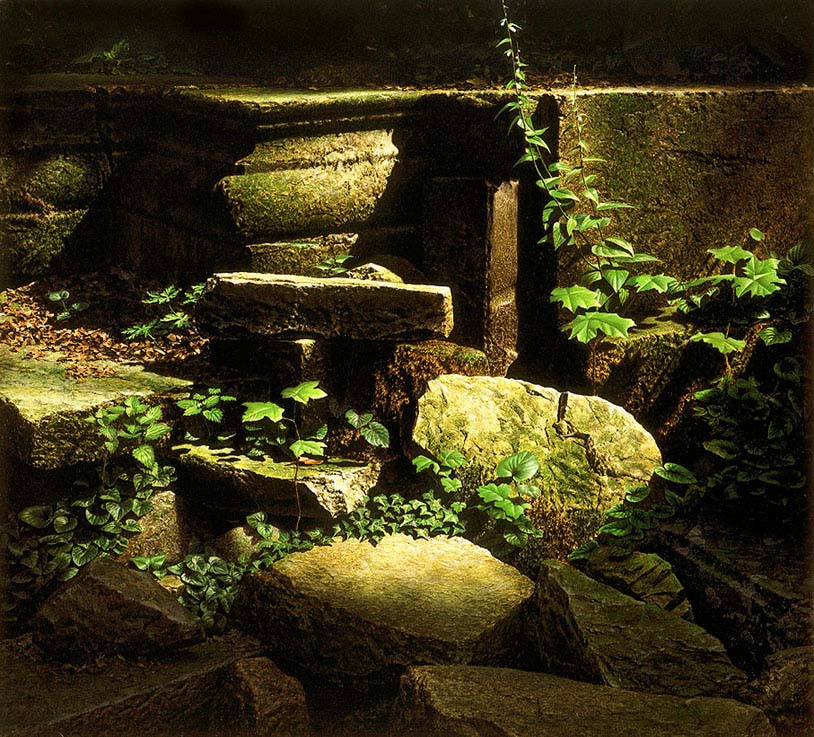1985_Ruine_im_Wald