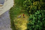 2008_LadEm_Det18_Mann
